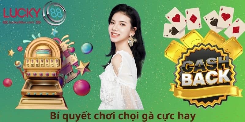 Bí quyết chơi chọi gà cực hay