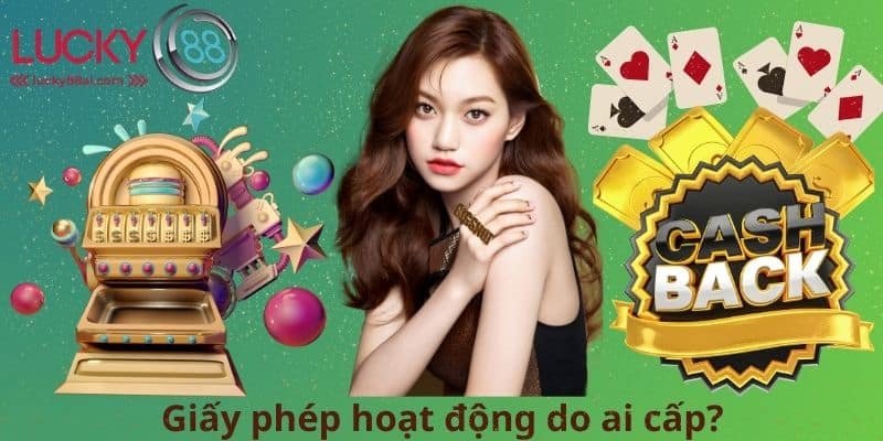 Giấy phép hoạt động do ai cấp?