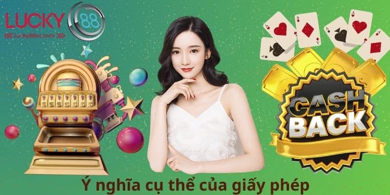 Ý nghĩa cụ thể của giấy phép